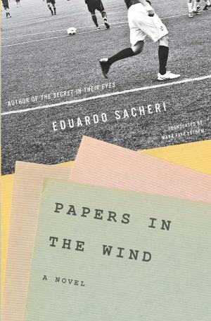 Cover of the book Papers in the Wind by peter stephan Jungk