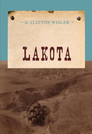Cover of the book Lakota by Tim Champlin