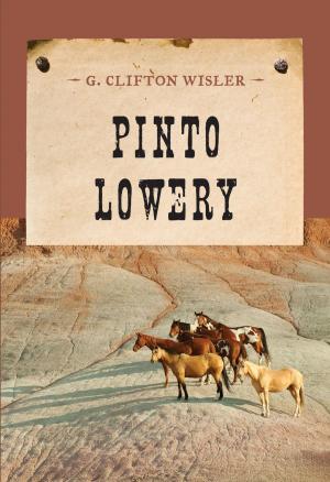 Cover of the book Pinto Lowery by Dusty Richards
