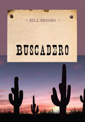 Cover of the book Buscadero by David Ward Davis, Lisa E. Brown