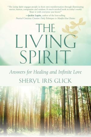 Cover of the book The Living Spirit by Stephen Hillard