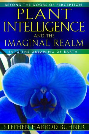 Cover of the book Plant Intelligence and the Imaginal Realm by Diane Stein