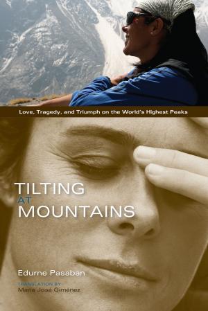Book cover of Tilting at Mountains
