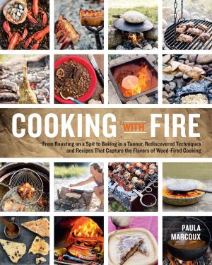 Cover of the book Cooking with Fire by Phyllis Hobson
