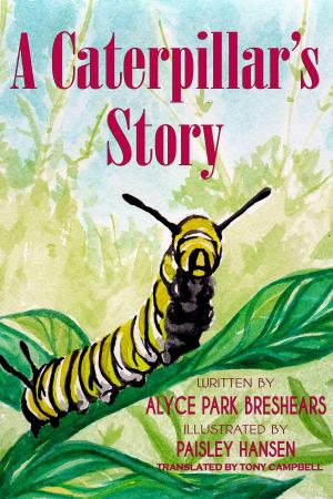 bigCover of the book A Caterpillar's Story by 