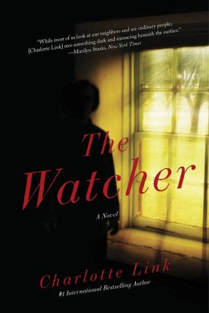 Cover of the book The Watcher: A Novel of Crime by Sebastian Fitzek
