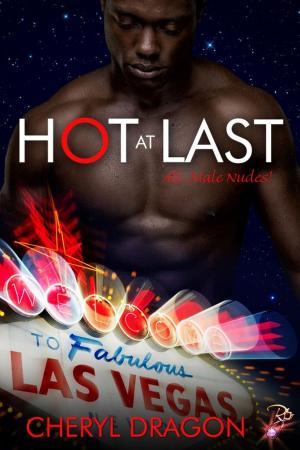 Book cover of Hot at Last