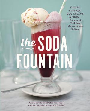 Book cover of The Soda Fountain