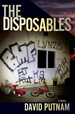 Cover of the book The Disposables by Rob Leininger