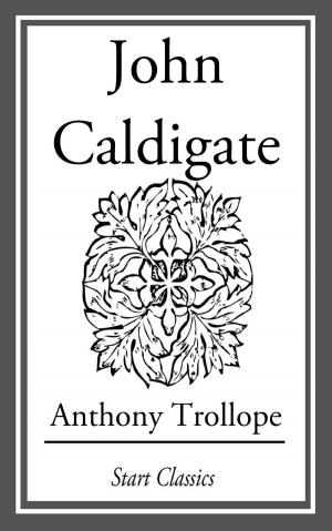 Cover of the book John Caldigate by Berthold Auerbach