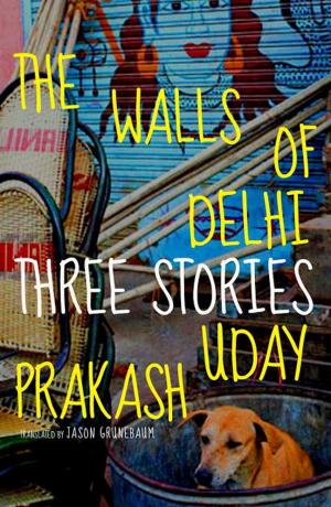 Cover of the book The Walls of Delhi by Ted Rall
