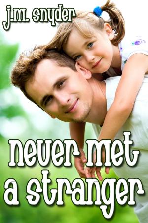 Cover of the book Never Met a Stranger by J.T. Marie