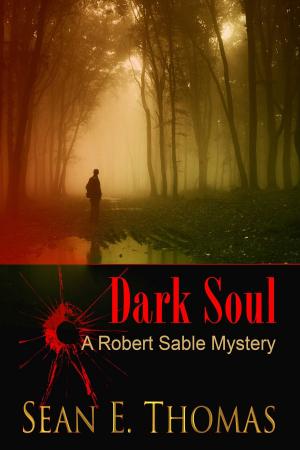Book cover of Dark Soul