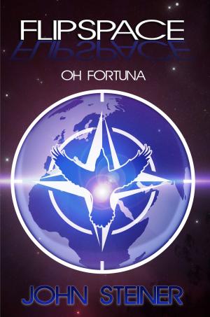 Cover of the book Flipspace: Oh Fortuna by JT Adeline