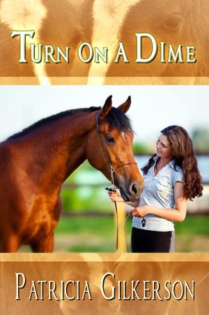 Cover of the book Turn on a Dime by Kira Barcelo