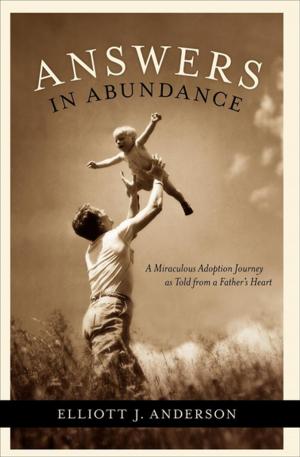 Cover of the book Answers in Abundance by Deborah Borgen, Kim Bjørnqvist