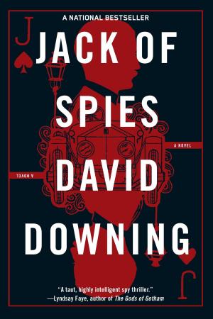 Cover of the book Jack of Spies by Magdalen Nabb