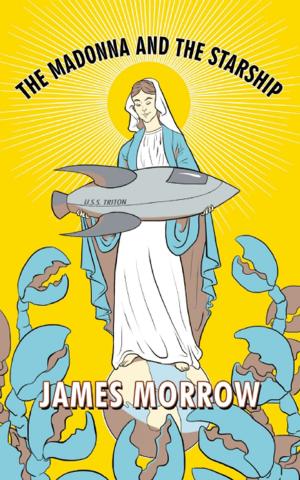 Cover of the book The Madonna and the Starship by James Morrow