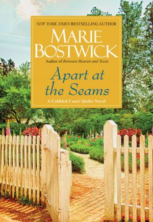 Cover of the book Apart at the Seams by Alison Foster