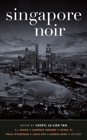 Book cover of Singapore Noir