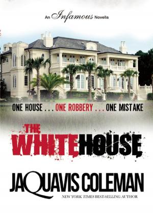 Cover of the book The White House by Justus R. Stone