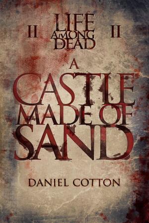 Cover of the book A Castle Made of Sand by Kim Paffenroth