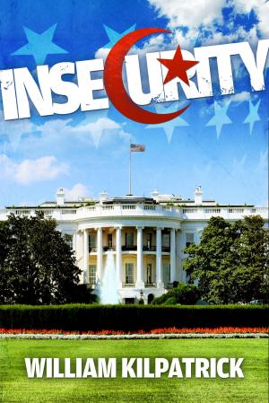 Cover of the book Insecurity by Chris Cook