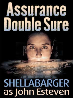 bigCover of the book Assurance Double Sure by 