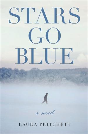 Cover of the book Stars Go Blue by Craig Nova