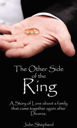 Cover of the book The Other Side of the Ring by Aaron Herskovits
