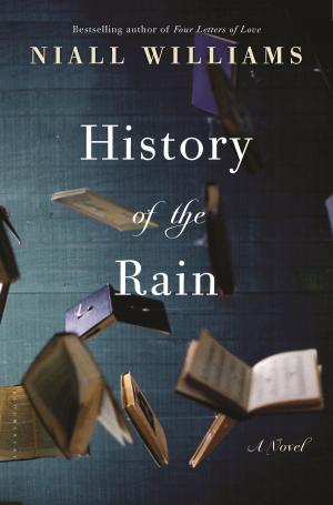 Cover of the book History of the Rain by Monica Dickens