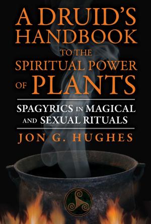 Book cover of A Druid's Handbook to the Spiritual Power of Plants
