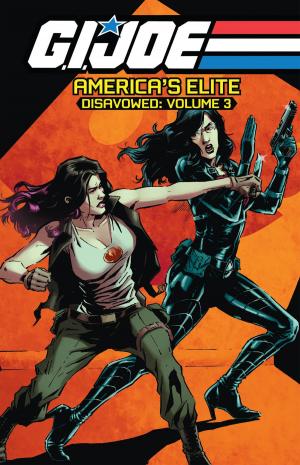 Book cover of G.I. Joe: America's Elite - Disavowed, Vol. 3