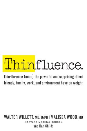 Book cover of Thinfluence