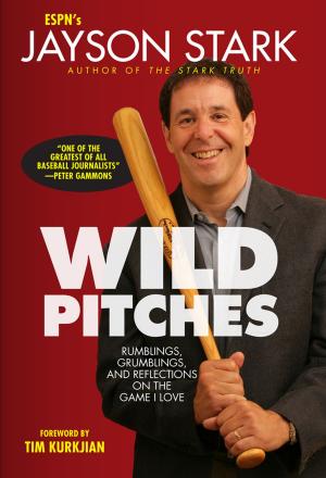 Cover of the book Wild Pitches by Steve Silverman
