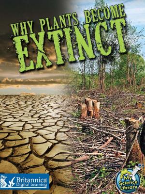 Book cover of Why Plants Become Extinct