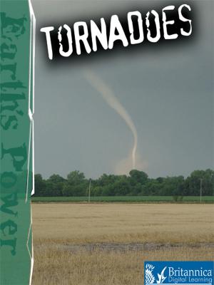 Cover of the book Tornadoes by Kyla Steinkraus