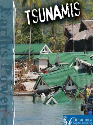 Cover of the book Tsunamis by Ann Becker