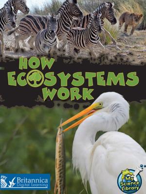Cover of the book How Ecosystems Work by Anna Claybourne
