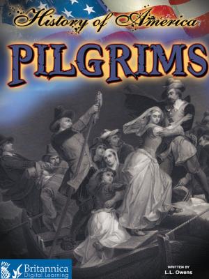 Cover of the book Pilgrims by Luana Mitten