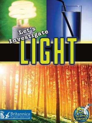 Cover of the book Let's Investigate Light by Dr. Jean Feldman and Dr. Holly Karapetkova