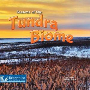 Cover of the book Seasons of the Tundra Biome by Cindy Rodriguez
