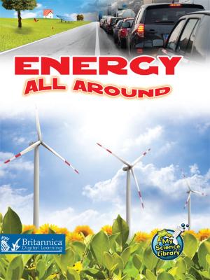 Cover of the book Energy All Around by Luana Mitten and Meg Greve