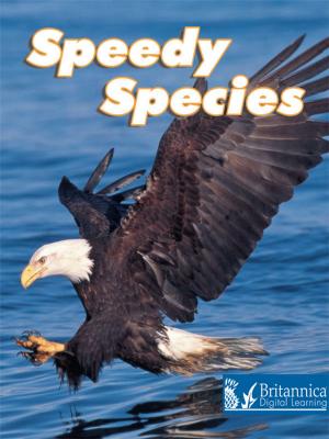 Book cover of Speedy Species