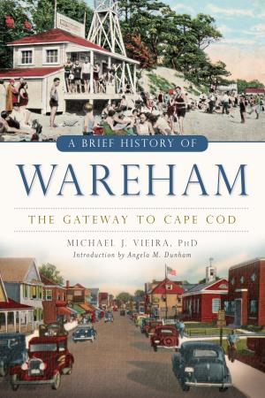 Cover of the book A Brief History of Wareham by Mason County Historical Commission