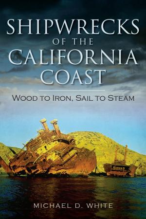 Book cover of Shipwrecks of the California Coast