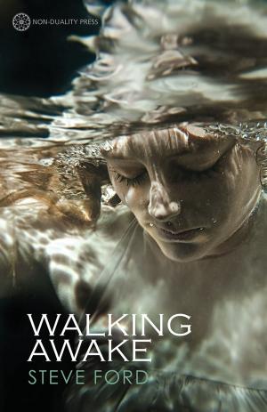Cover of the book Walking Awake by Daniel Franklin, PhD