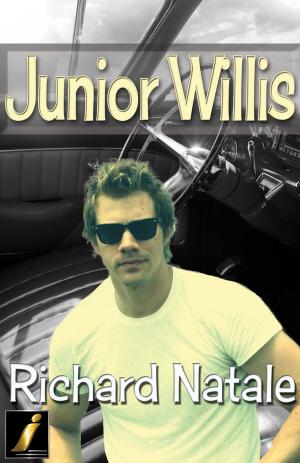 Book cover of Junior Willis