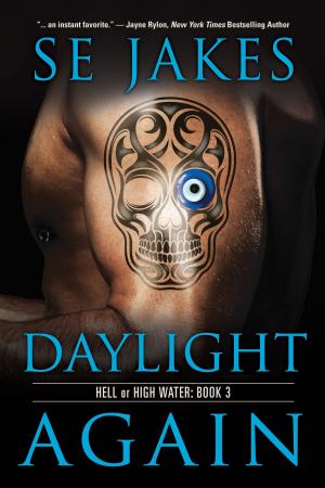 Cover of Daylight Again