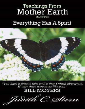 Book cover of Teachings From Mother Earth, Book Two